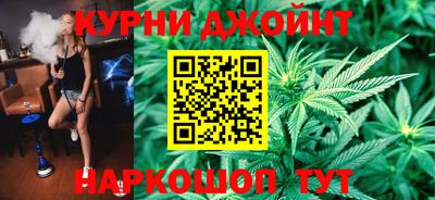 сатива Будённовск