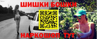 сатива Будённовск