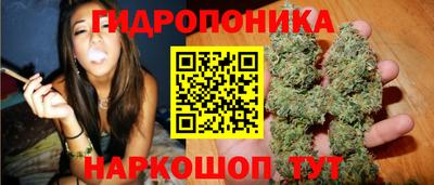 сатива Будённовск